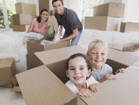 Packing team preparing boxes in an Islington property