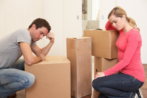 Careful packing materials for fragile items during removals in Islington